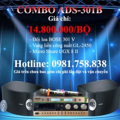 COMBO KARAOKE GIA ĐÌNH ADS-301B