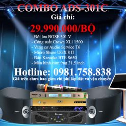 COMBO KARAOKE GIA ĐÌNH ADS-301C