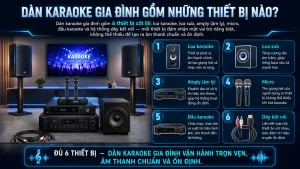 Dan Karaoke Gia Dinh Gom Nhung Thiet Bi Nao