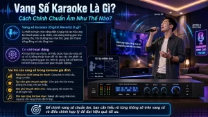 Vang So Karaoke La Gi Cach Chinh Chuan Am Nhu The Nao