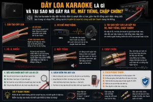 Day Loa Karaoke La Gi Va Tai Sao No Gay Ra Re Mat Tieng Chap Chon