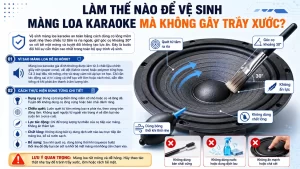 Làm Thế Nào Để Vệ Sinh Màng Loa Karaoke Mà Không Gây Trầy Xước