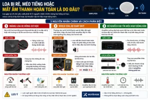 Loa bi re meo tieng hoac mat am thanh hoan toan la do dau