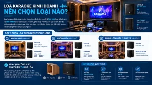 Loa Karaoke Kinh Doanh Nên Chọn Loại Nào?