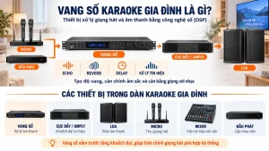 Vang Số Karaoke Gia Đình Là Gì Và Gồm Những Thiết Bị Nào?